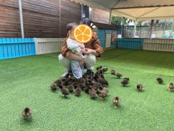 -萌宠亲子动物乐园(槐房万达店)