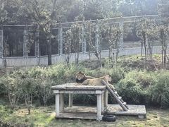 -石家庄市动物园