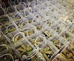 -卡卡喜糖伴手礼·商务礼宝宝礼·婚礼用品