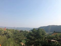 -磬锤峰森林公园
