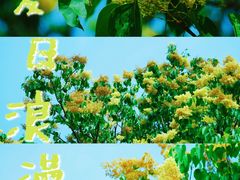 -国家植物园