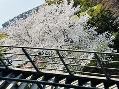 -IKEA宜家家居(南京商场)