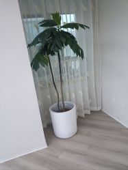 -HEYAN荷妍专业脱毛连锁机构