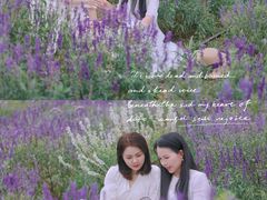 -紫颐香薰山谷景区