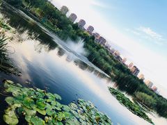 -前关湿地公园