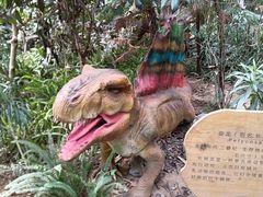 -呀路古热带植物园