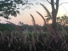 -蓝记云吞(正果店)