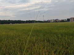 -低涌(地铁站)