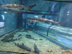 -福州罗源湾海洋世界旅游区