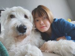 -申普宠物医院·心脏介入·心血管微创(总院)