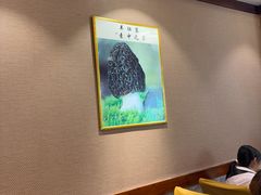 -菌之家·专业纯野生菌火锅·特色炒菌