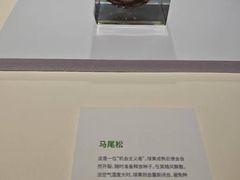 -中国湿地博物馆