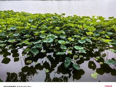 -东山湖公园