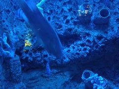 -太平洋海底世界