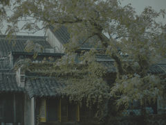 -乌镇东栅景区