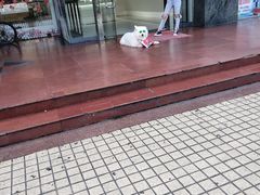 -横岗眼镜城
