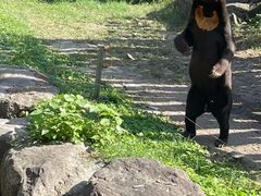 -宁波野生动物园
