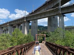 -铁山坪森林公园