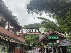 -野象谷景区