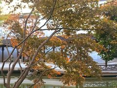 -秋霞圃