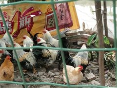 -茂德公草堂