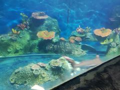 -泉州海丝野生动物世界