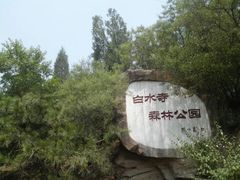 -白水寺森林公园