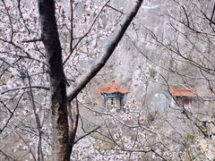 -圣莲山风景区