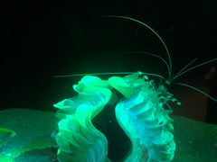 -欢乐海岸海洋奇梦馆