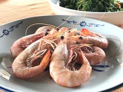 白灼海虾-沙田台山海鲜·酣客酒窖