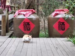 -兔行天下-鸿鹤鲜锅兔(中海国际店)