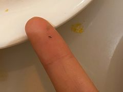 -白金汉爵大酒店(相城店)