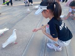 -天津妈祖文化园