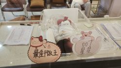 -爱贝蕊恩韩式月子会所(宝安店)