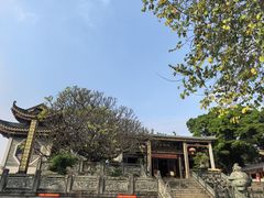 -竹园竹升面(西关总店)