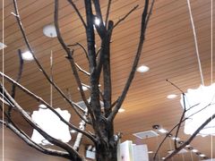 -茶颜悦色(登高路上店)