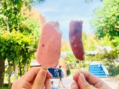 -上海玛雅海滩水公园