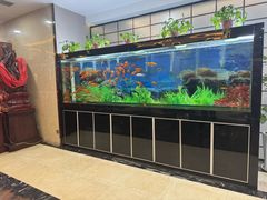 -张刚餐饮(春晓馨苑店)