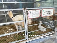 -盈香心动乐园