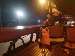 -城墙外BAR