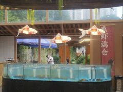 -耕渔小院·湖南鱼鲜(望城店)