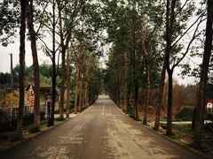 -三圣花乡旅游区