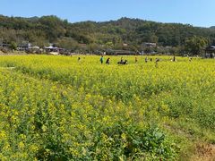 -红山村