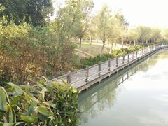 -艾溪湖湿地公园