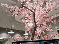 -时尚殿堂明星门店