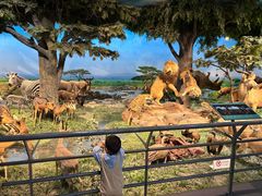 -国家自然博物馆