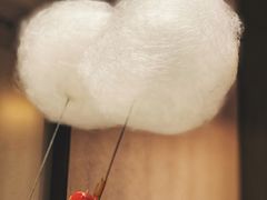 蒲公英糖葫芦-小大董·烤鸭(凤凰汇店)