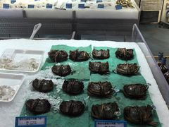 -麦德龙(嘉定店)