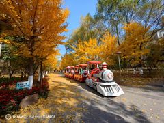 -长白岛森林公园