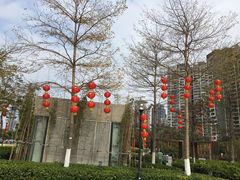 -南方医科大学深圳医院